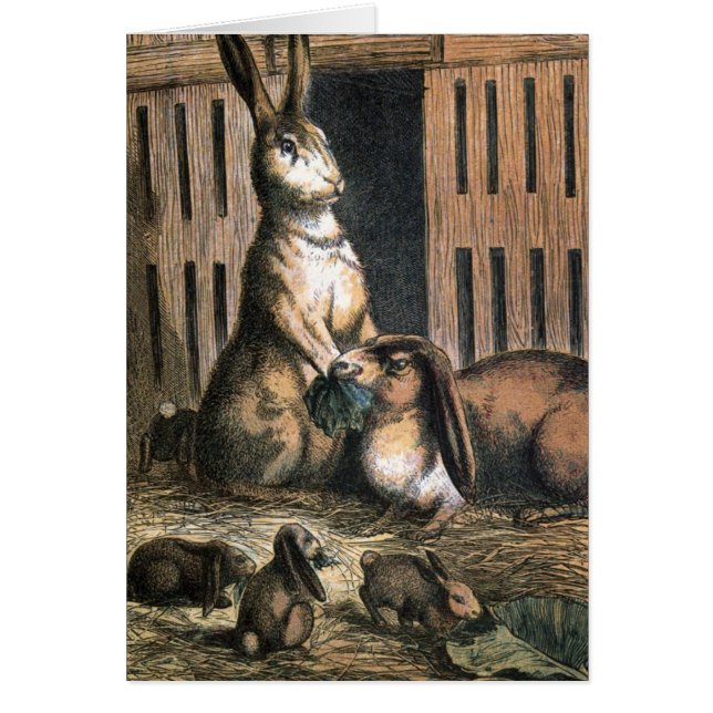 Dessin vintage : Parents fiers de lapin (Devant)