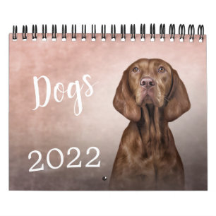Dessiner un calendrier drôle de chiens