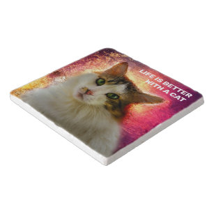 Dessous De Plat Chats Mignons Zazzle Fr