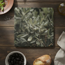 Branche d'olive rustique Méditerranée Italie