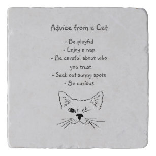 Dessous De Plat Humour Chat De Zazzle Fr Dessous De Plat Humour Chat De Zazzle Fr