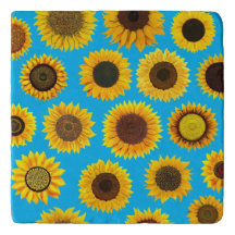 Fleurs de soleil