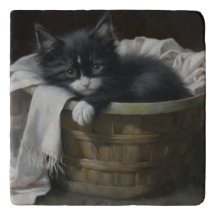 Un Coin Cosy Kittens