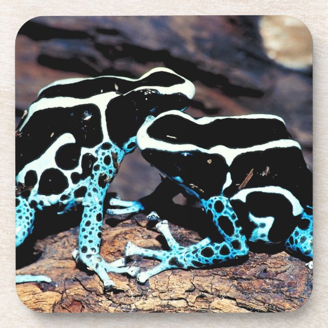 DESSOUS-DE-VERRE 23898179 (Devant)