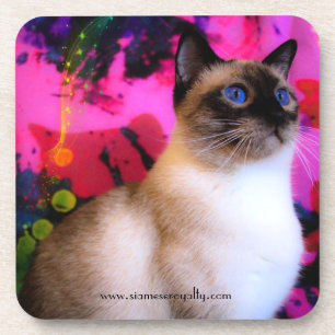 Dessous-de-verre 6 Siamese Hard Plastic coasters with cork back