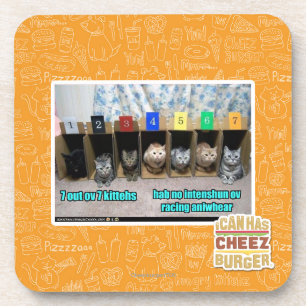 Dessous-de-verre 7 kittehs d'OV 7