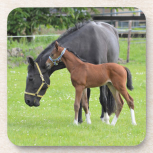 Dessous de verre à cheval