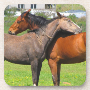 Dessous de verre à cheval