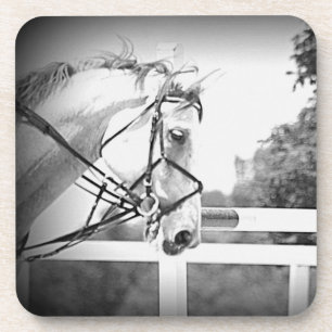 Dessous de verre à cheval gris