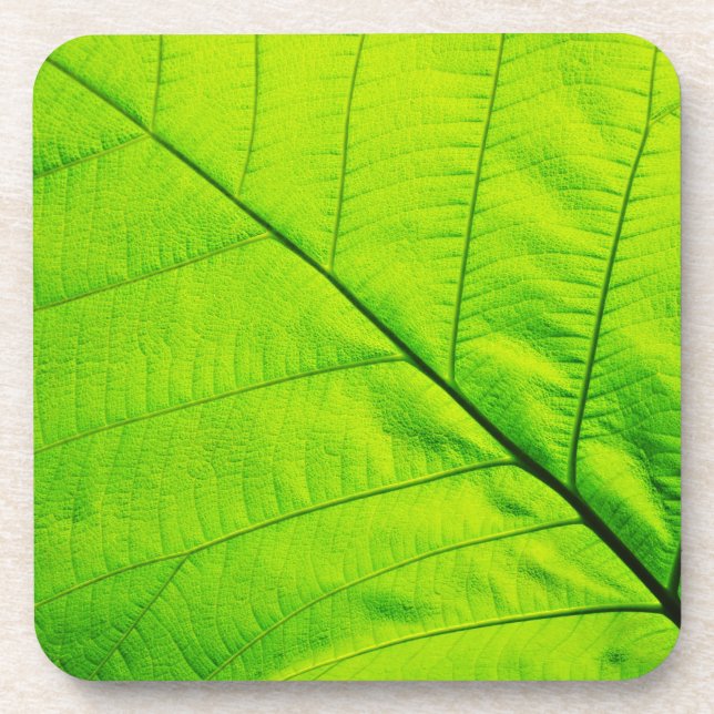 Dessous de verre à feuilles vertes (Devant)