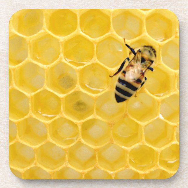 Dessous-de-verre abeille et nid d'abeille (Devant)