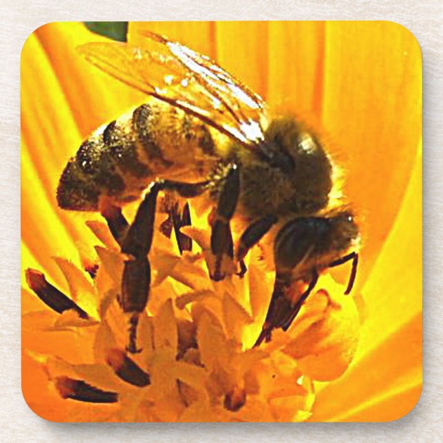 Dessous-de-verre Abeille sur une fleur (Devant)