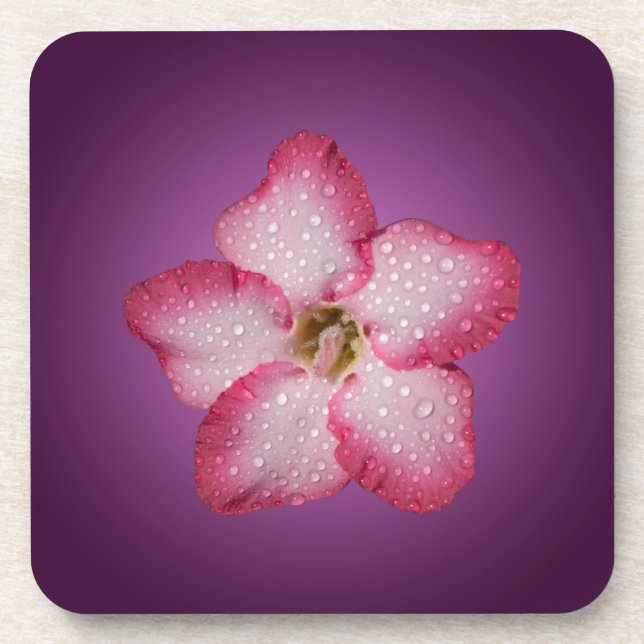 Dessous-de-verre Adénium Fleur Rose Flore Dégradé Violet (Devant)