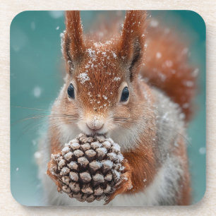 Dessous-de-verre Adorable écureuil rouge dans la neige avec un Pine