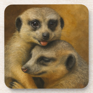 Dessous-de-verre Affection de Meerkat