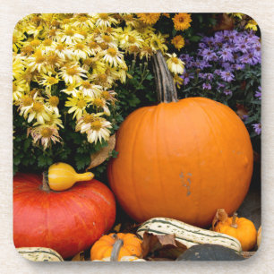 Dessous-de-verre Affichage coloré de citrouilles décoratives d'auto