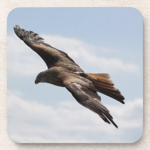 Dessous-de-verre Aigle