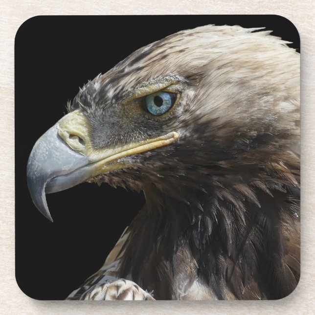 Dessous-de-verre Aigle (Devant)