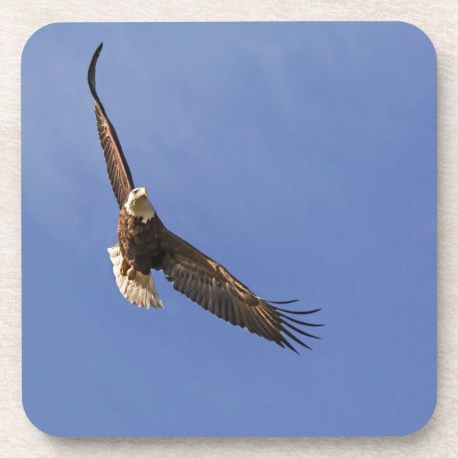 Dessous-de-verre Aigle chauve (Devant)
