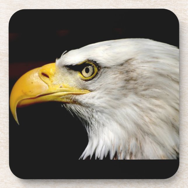 Dessous-de-verre Aigle de Bald (Devant)