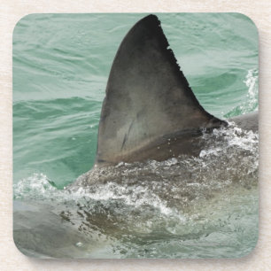 Dessous-de-verre Aileron dorsal d'un grand requin blanc