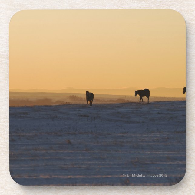 Dessous-de-verre Alberta, Canada 3 (Devant)