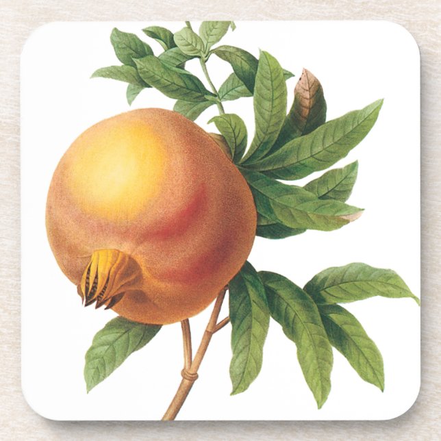 Dessous-de-verre Aliments anciens Fruits, Grenade par Redoute (Devant)