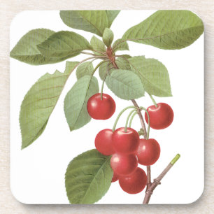 Dessous-de-verre Aliments Cerise de Fruit Vintage, Cerises par Redo