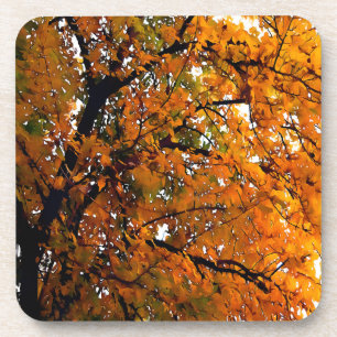 Dessous-de-verre Ambre Feuilles de l'automne
