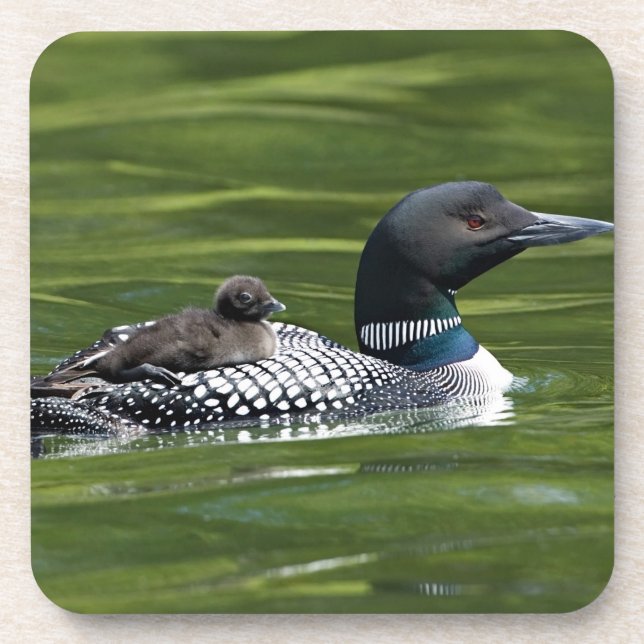 Dessous-de-verre Amérique du Nord, Canada, Colombie-Britannique, La (Devant)