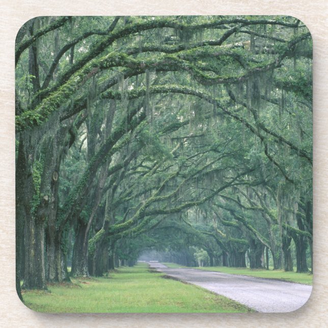 Dessous-de-verre Amérique du Nord, États-Unis, Géorgie, Savannah, (Devant)