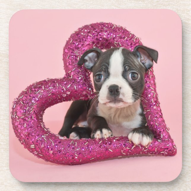 Dessous-de-verre Amour de chiot des images | de Getty (Devant)