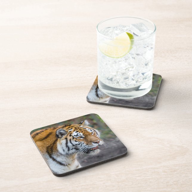 Dessous-de-verre Amur tiger (Côté Droit)