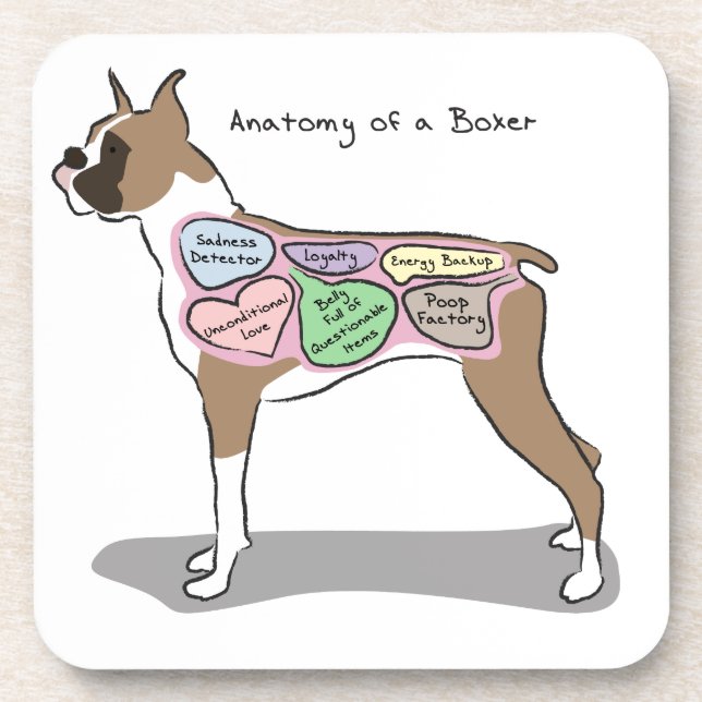 Dessous-de-verre Anatomie des cadeaux d'un chien de boxeur (Devant)