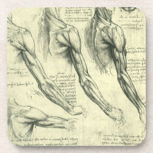 Dessous-de-verre Anatomie du bras et de l'épaule de Léonard de Vinc