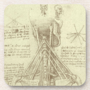 Dessous-de-verre Anatomie humaine colonne vertébrale par Leonardo d