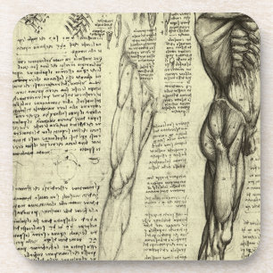 Dessous-de-verre Anatomie humaine Muscles masculins par Leonardo da
