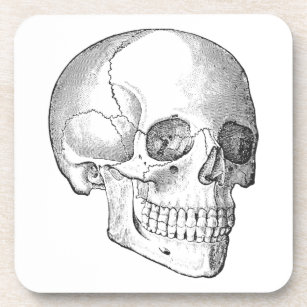 Dessous-de-verre Anatomie Médicale dessin vintage crâne monochrome