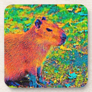 Dessous-de-verre AnimalColor_Capybara_010