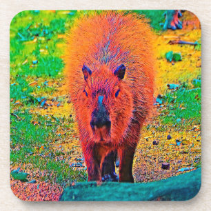 Dessous-de-verre AnimalColor_Capybara_011