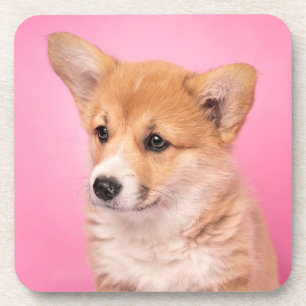 Dessous-de-verre Animaux de bébés cutest   Corgi Chiot rose