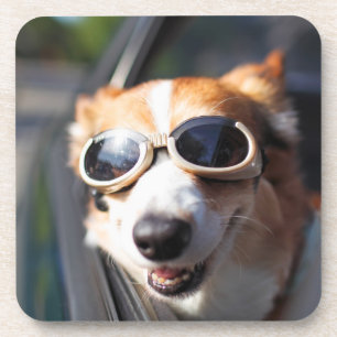Dessous-de-verre Animaux de bébés cutest   Corgi lunettes dans la v
