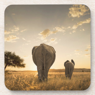 Dessous-de-verre Animaux de bébés cutest   Eléphant veau et mère