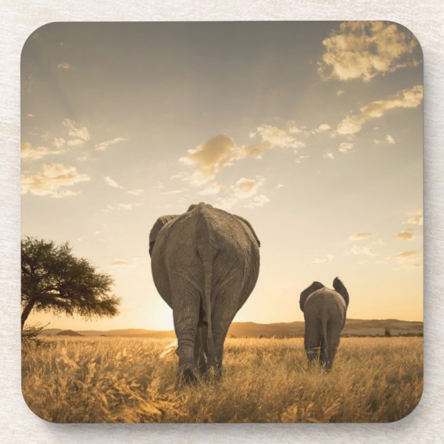 Dessous-de-verre Animaux de bébés cutest | Eléphant veau et mère (Devant)