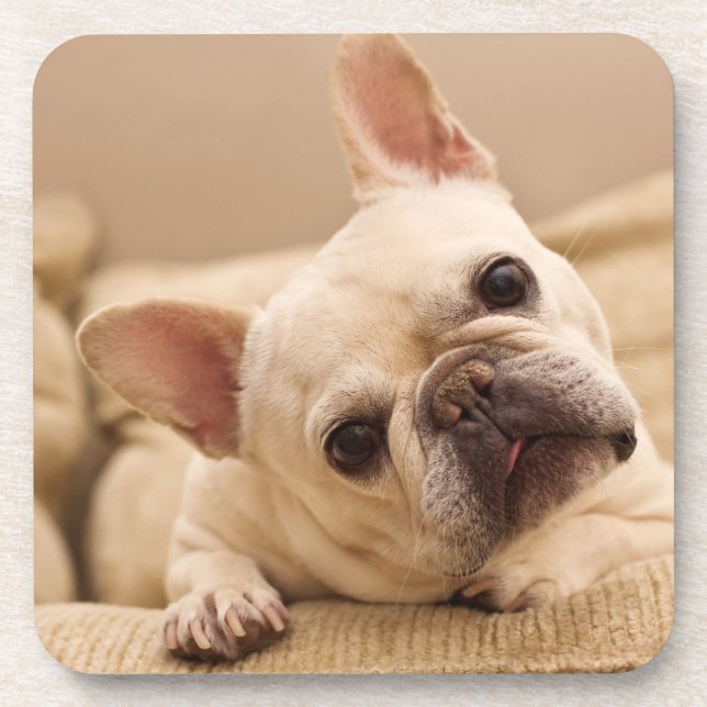 Dessous-de-verre Animaux de bébés cutest | French Bulldog Head Tilt (Devant)