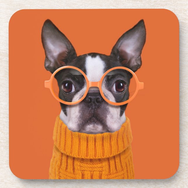 Dessous-de-verre Animaux de bébés cutest | Orange Boston Terrier (Devant)