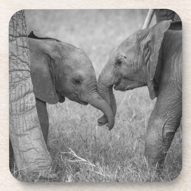 Dessous-de-verre Animaux de bébés cutest | Salutation des éléphants (Devant)