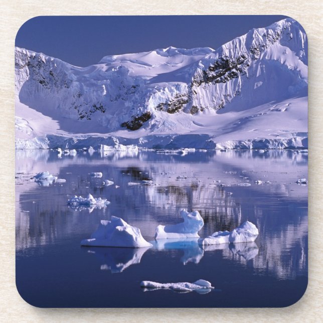 Dessous-de-verre Antarctique, baie du Paradis (Devant)