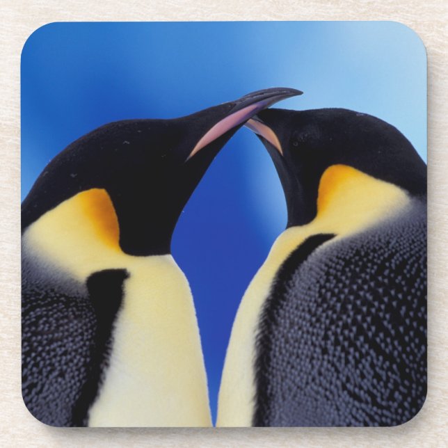 Dessous-de-verre Antarctique, Empereur Penguins (Devant)