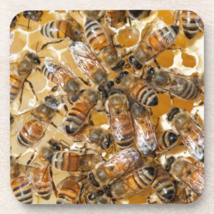 Dessous-de-verre Apiculture à Arlo's Honey Farm